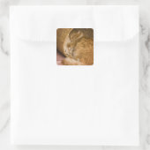 Sticker Carré Table orange dormant dans le hamper (Sac)