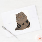 Sticker Carré tablette brune chat perse (Enveloppe)