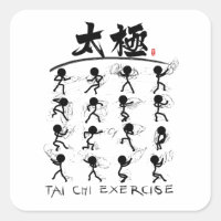 Tai Chi kung fu(功 夫)