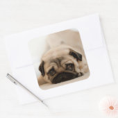 Sticker Carré Tan Female (Enveloppe)