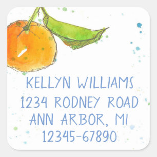 Sticker Carré Tangerine Aquarelle Fruit Adresse de retour
