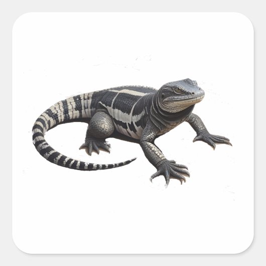 Sticker Carré Tegu noir et blanc argentin (Devant)