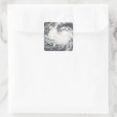 Sticker Carré Tempête tropicale Chanchu 2 (Sac)