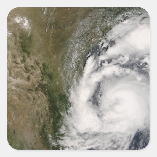 Sticker Carré Tempête tropicale Dolly (Devant)