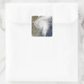 Sticker Carré Tempête tropicale Hermine sur le Texas (Sac)