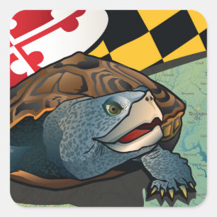 Sticker Carré Terrapin, citoyen du Maryland, tortue