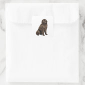 Sticker Carré Terre-Neuve-et-Labrador (Sac)