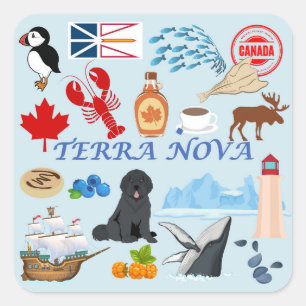 Sticker Carré Terre-Neuve Terre-Neuve