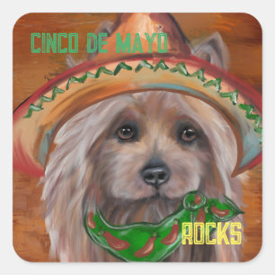 STICKER CARRÉ TERRIER AUSTRALIEN