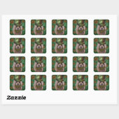 STICKER CARRÉ TERRIER AUSTRALIEN (Feuille)