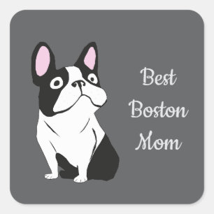 Sticker Carré terrier de Boston