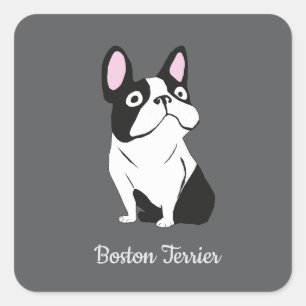 Sticker Carré terrier de Boston