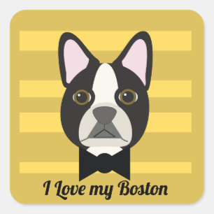 Sticker Carré Terrier de Boston