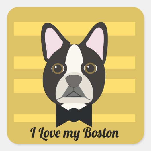 Sticker Carré Terrier de Boston (Devant)