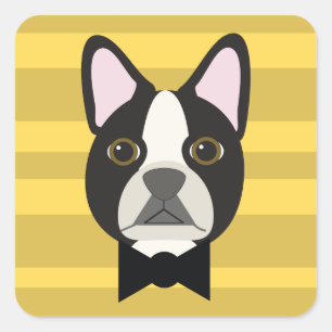 Sticker Carré Terrier de Boston