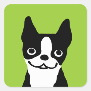 Sticker Carré Terrier de Boston - Chien Mignon