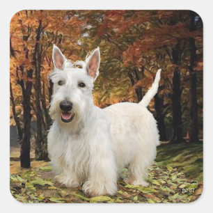 Sticker Carré Terrier Écossais Rouquin Automne