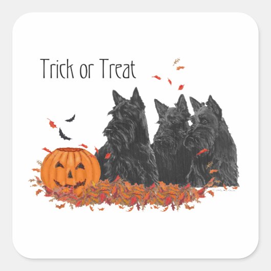 Sticker Carré Terriers Écossais Halloween (Devant)