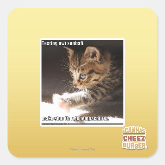 Sticker Carré Test de owt sunbaff (Devant)