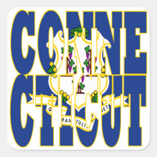 Sticker Carré Texte de l'indicateur d'état Connecticut