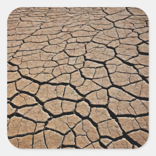 Sticker Carré Texture du désert