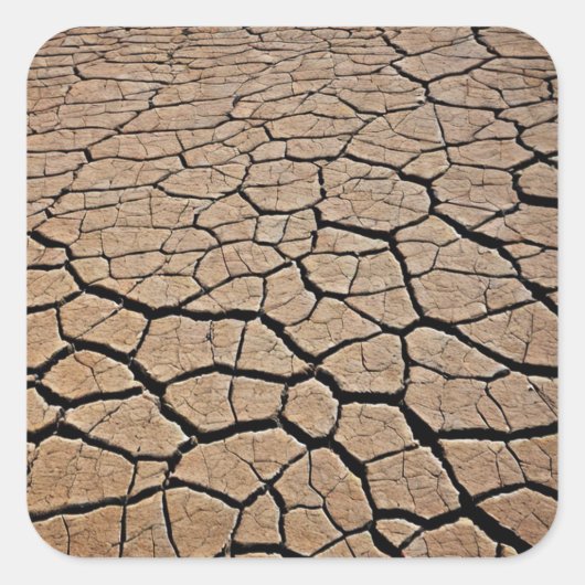 Sticker Carré Texture du désert (Devant)