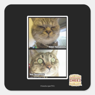 Sticker Carré Thermomètre