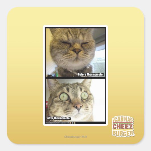 Sticker Carré Thermomètre (Devant)