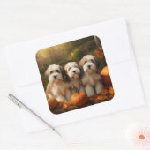 Sticker Carré Tibétain Terrier Chiot Automne Citrouille délice (Enveloppe)