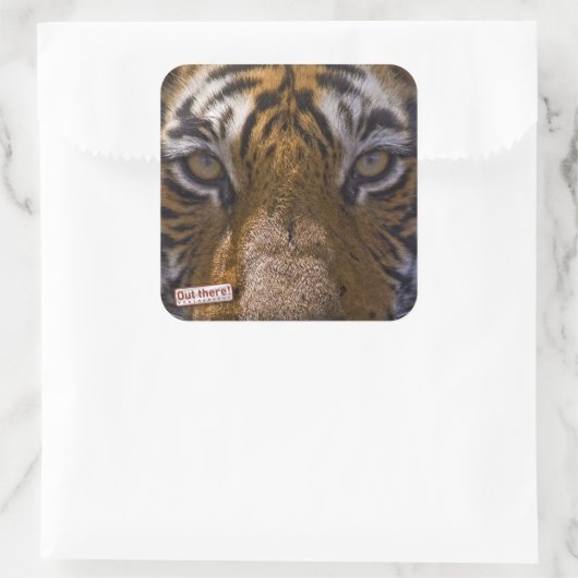 Sticker Carré Tiger (Sac)