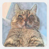 Sticker Carré Tiger Cat Illustration Design (Devant)