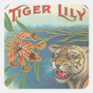 Sticker Carré Tiger Lily