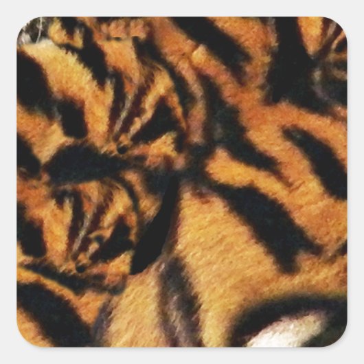 Sticker Carré Tiger Love_ (Devant)