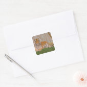 Sticker Carré Tigre (Enveloppe)