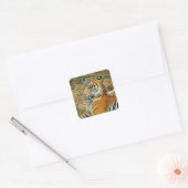 Sticker Carré Tigre (Enveloppe)
