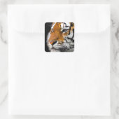 Sticker Carré Tigre (Sac)