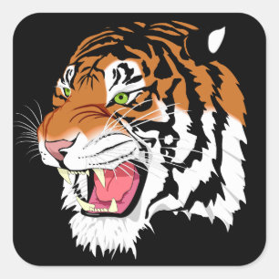 Sticker Carré Tigre de Sumatran