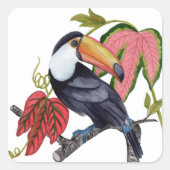 Sticker Carré Toco Toucan (Devant)