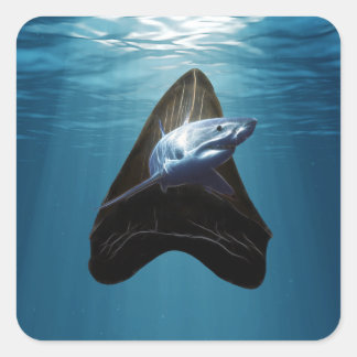 Sticker Carré Toisse de requin Océan