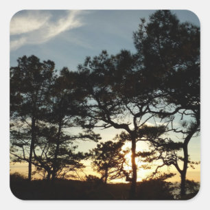 Sticker Carré Torrey Pine Sunset II Californie Paysage