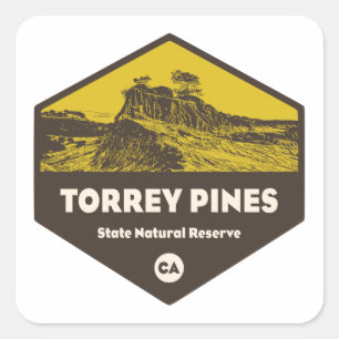 Sticker Carré Torrey Pines State Reserve Californie