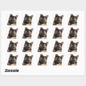 Sticker Carré Tortoiseshell (Feuille)