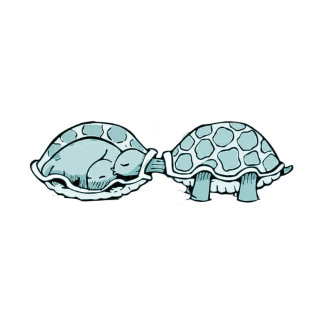 Sticker Carré Tortue