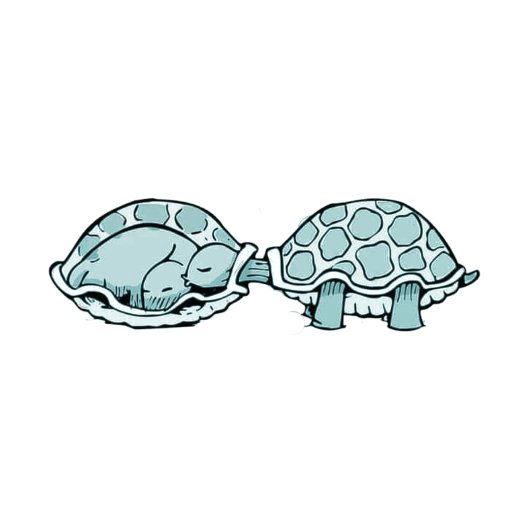 Sticker Carré Tortue
