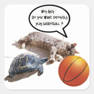 STICKER CARRÉ TORTUE ET BASKET-BALL DE CAT