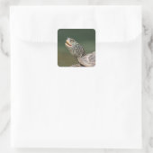 Sticker Carré Tortue sur La Chute (Sac)