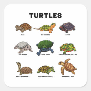 Sticker Carré Tortues de Dessin Animé Mignonnes du Monde