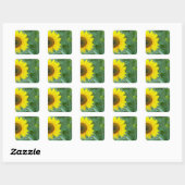 Sticker Carré Tournesol (Feuille)