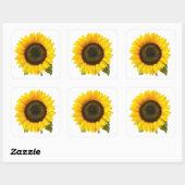 Sticker Carré Tournesol (Feuille)