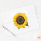 Sticker Carré Tournesol (Enveloppe)